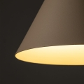 10619_CONO_SABIA_B1.jpg