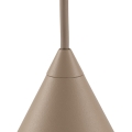 10620_CONO_SABIA_D1.jpg