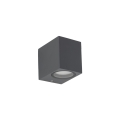 10969_AXIS_GRAY_A.jpg