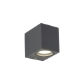 10969_AXIS_GRAY_O.jpg