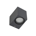 10969_AXIS_GRAY_P.jpg