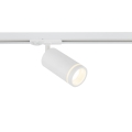 10028_TRACER_RING_WHITE_O.jpg