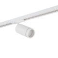 10028_TRACER_RING_WHITE_S.jpg