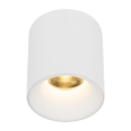18140_BLAZE_WHITE_12W_O1.jpg