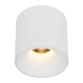 18142_BLAZE_WHITE_18W_O1.jpg