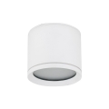 10595_VIVO_WHITE_A.jpg
