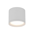 10595_VIVO_WHITE_O.jpg