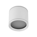 10595_VIVO_WHITE_P.jpg