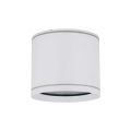 10595_VIVO_WHITE_W.jpg