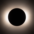 10623_LUNA_SABIA_B.jpg