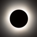 10624_LUNA_SABIA_B.jpg