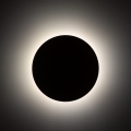 10625_LUNA_SABIA_B.jpg