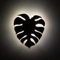 10626_MONSTERA_SABIA_B.jpg