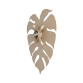 10627_MONSTERA_SABIA_T.jpg