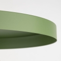 10761_SILA_GREEN_PEAPOD_D.jpg