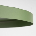 10762_SILA_GREEN_PEAPOD_D1.jpg