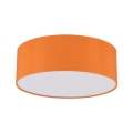 10153_NICOLA_ORANGE_A.jpg