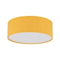 10154_NICOLA_YELLOW_A.jpg