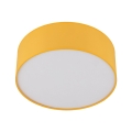 10154_NICOLA_YELLOW_P1.jpg