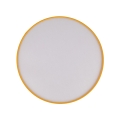 10154_NICOLA_YELLOW_W.jpg