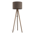16019_GRAND_BROWN_ORZECH_A.jpg