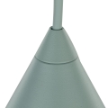 10074_CONO_MINT_D2.jpg