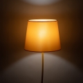 6645_NICOLA_YELLOW_B1.jpg