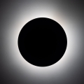 6454_LUNA_BROWN_B_1.jpg