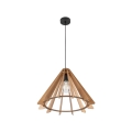 6586_ERIS_WOOD_P.jpg