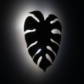 5422_MONSTERA_WOOD_B2.jpg