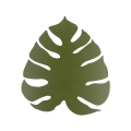 6435_MONSTERA_GREEN_XL_A.jpg