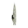 6435_MONSTERA_GREEN_XL_L.jpg