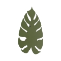 6435_MONSTERA_GREEN_XL_L1.jpg