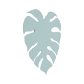 5947_MONSTERA_MINT_P_3.jpg