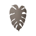 5719_MONSTERA_BROWN_SMAL_L.jpg