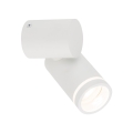 5393_JET_WHITE_O.jpg