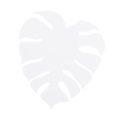 5915_MONSTERA_WHITE_XL_A.jpg