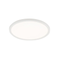 6900_AQUA_WHITE_O.jpg