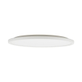 6900_AQUA_WHITE_W.jpg