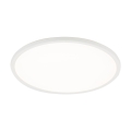 6902_AQUA_WHITE_O.jpg