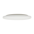 6902_AQUA_WHITE_W.jpg