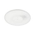 6904_AQUA_WHITE_D.jpg