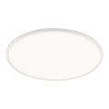 6904_AQUA_WHITE_O.jpg