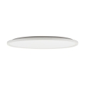 6904_AQUA_WHITE_W.jpg