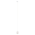 4886_TRACER_WHITE_P_3.jpg