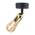 5677_TOP_GOLD_L.jpg