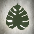 4668_MONSTERA_GREEN_O1.jpg