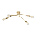4688_HELIX_GOLD_P_1.jpg