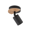 4673_COVER_WOOD_L.png