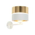 4770_HILTON_GOLD_O.jpg